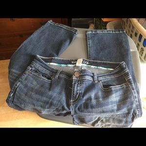 Maurices boot cut jeans